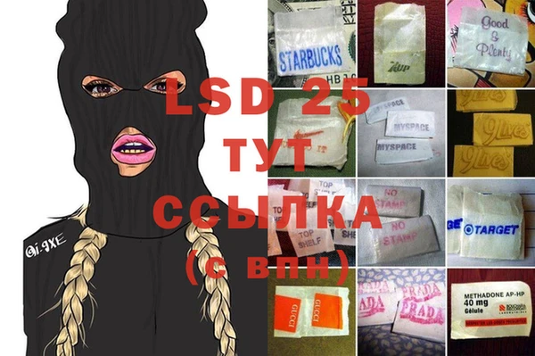 спайс Баксан