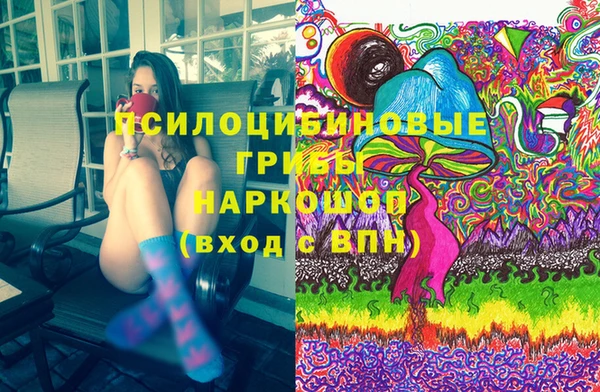 спайс Баксан