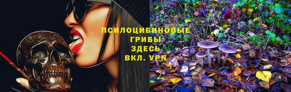 спайс Баксан