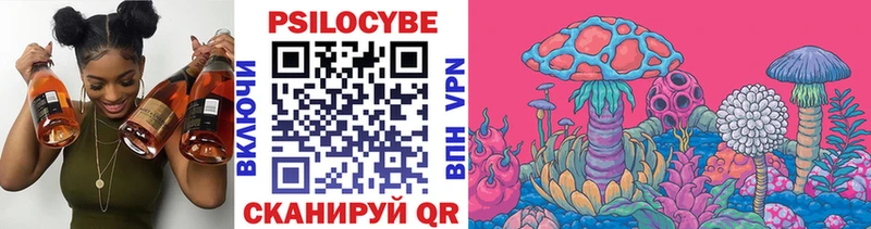 Псилоцибиновые грибы Psilocybe  Черняховск 