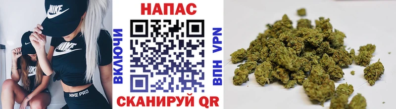 Бошки марихуана тримм купить наркотик Черняховск